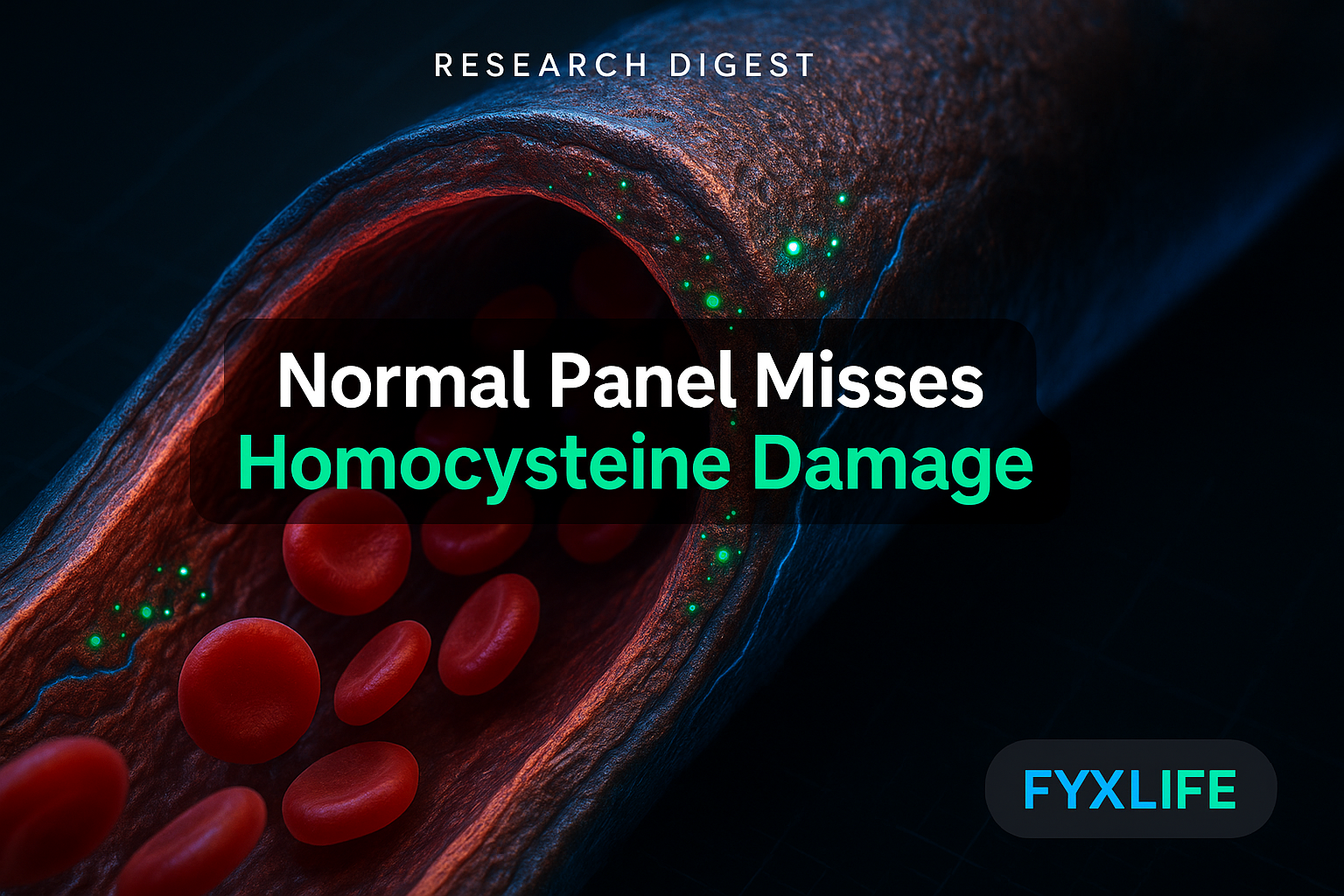 Homocysteine Test: What the Research Really Shows