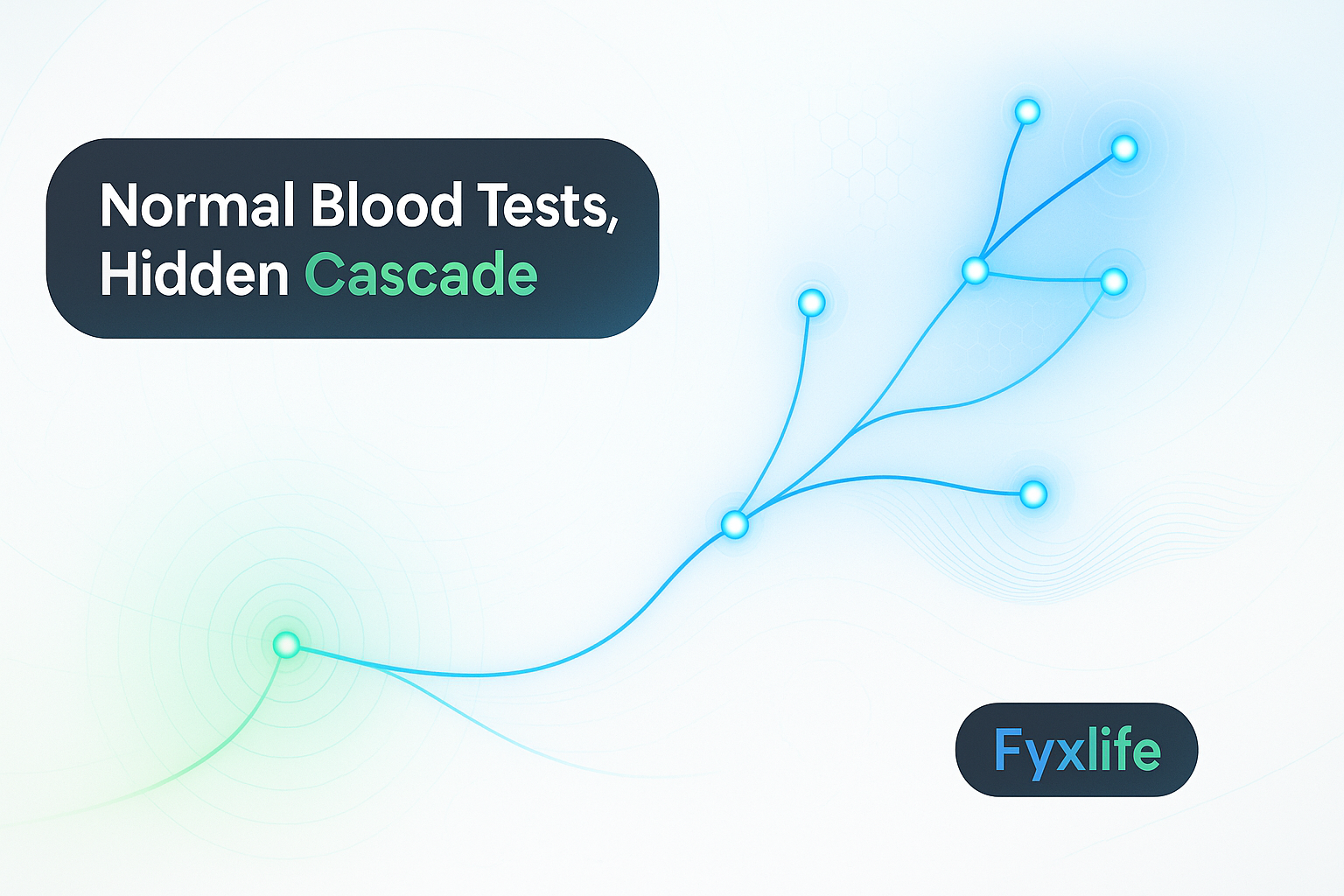 Your Bloating Is Not the Problem: How a Missed Food Reaction Cascades Into Fatigue, Skin Issues, and Brain Fog