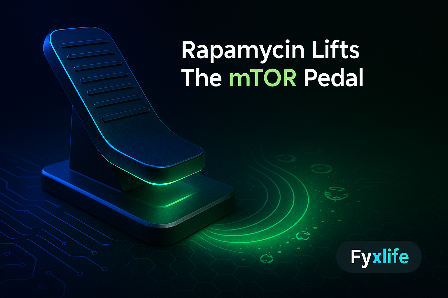 Rapamycin and Longevity: What It Is, How It Works, and Whether It’s Worth the Risk