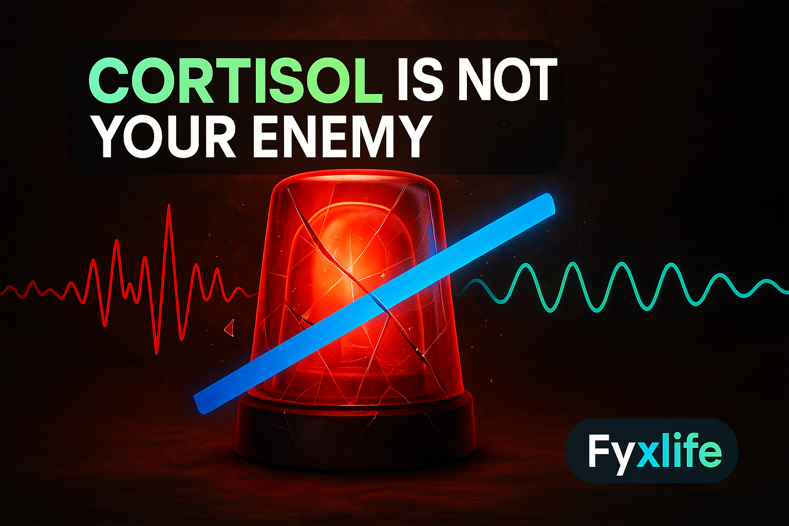 Cortisol Myths Debunked: What Stress Really Does