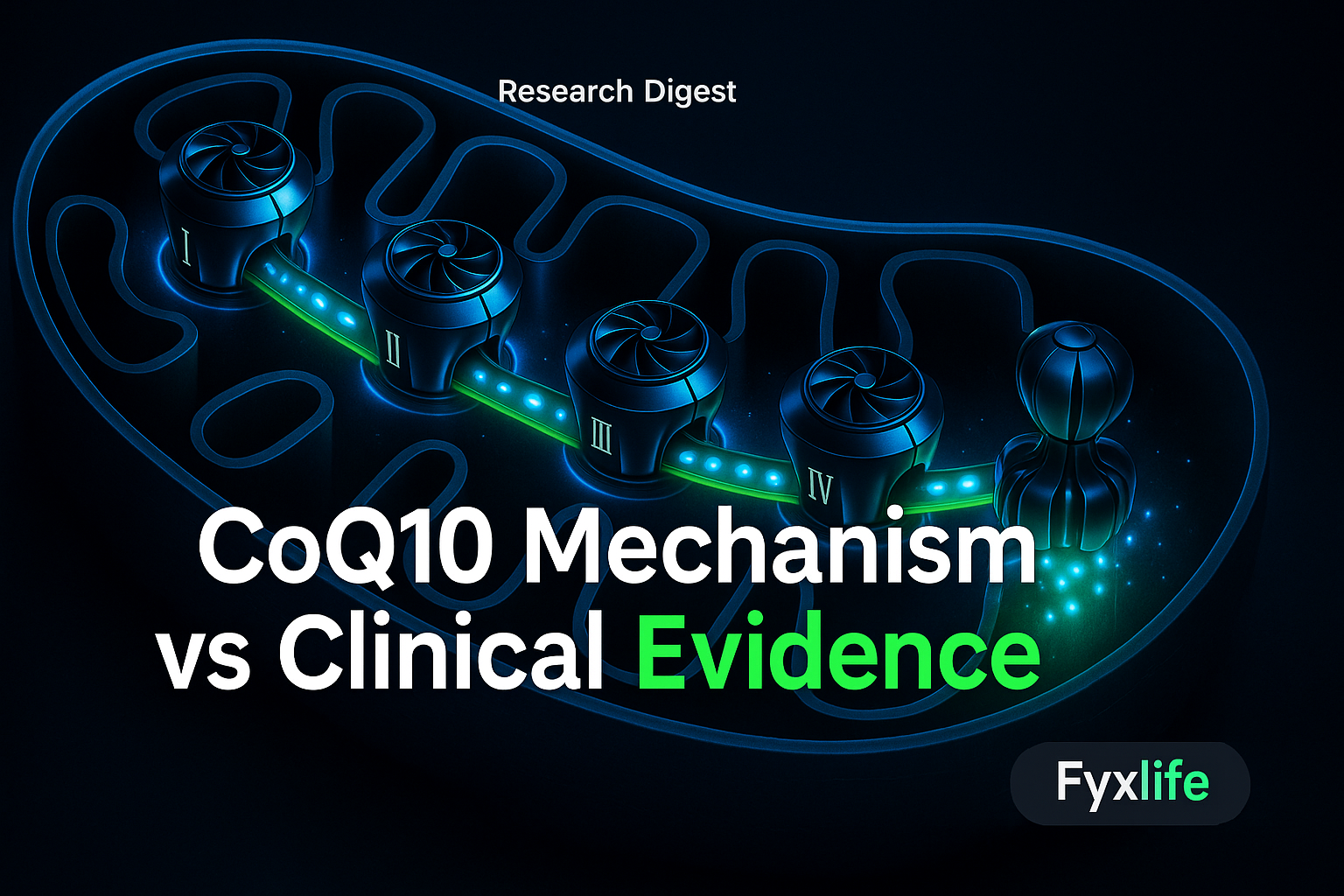 CoQ10 and Mitochondria: What the Evidence Shows