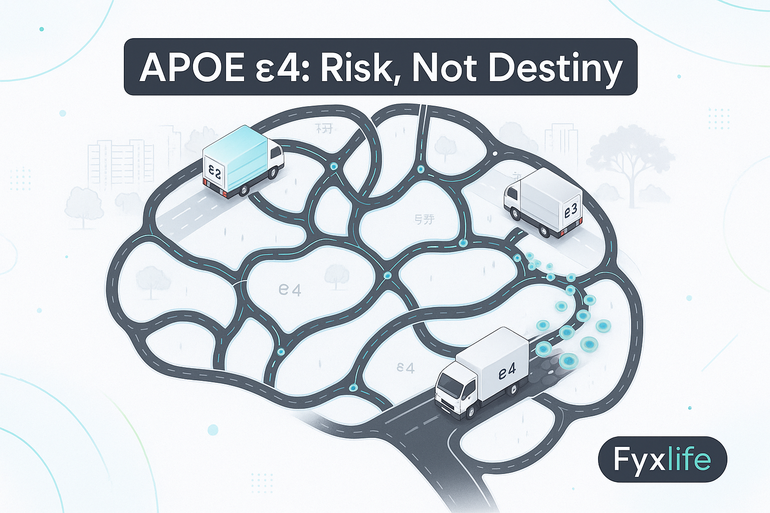 APOE Gene and Cognitive Risk: What ε4 Means for You