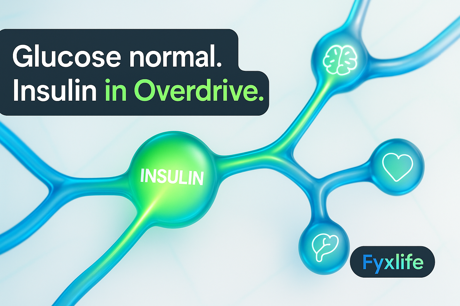 Fasting Insulin: The Cascade Standard Tests Miss
