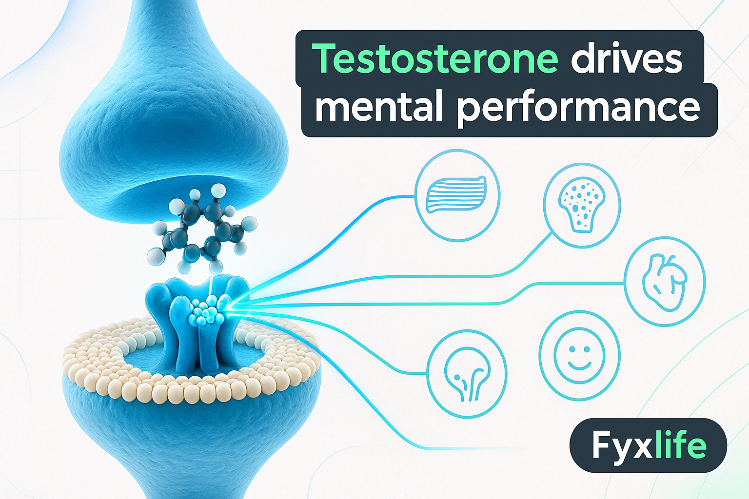 Testosterone and Men’s Health: What It Does After 35