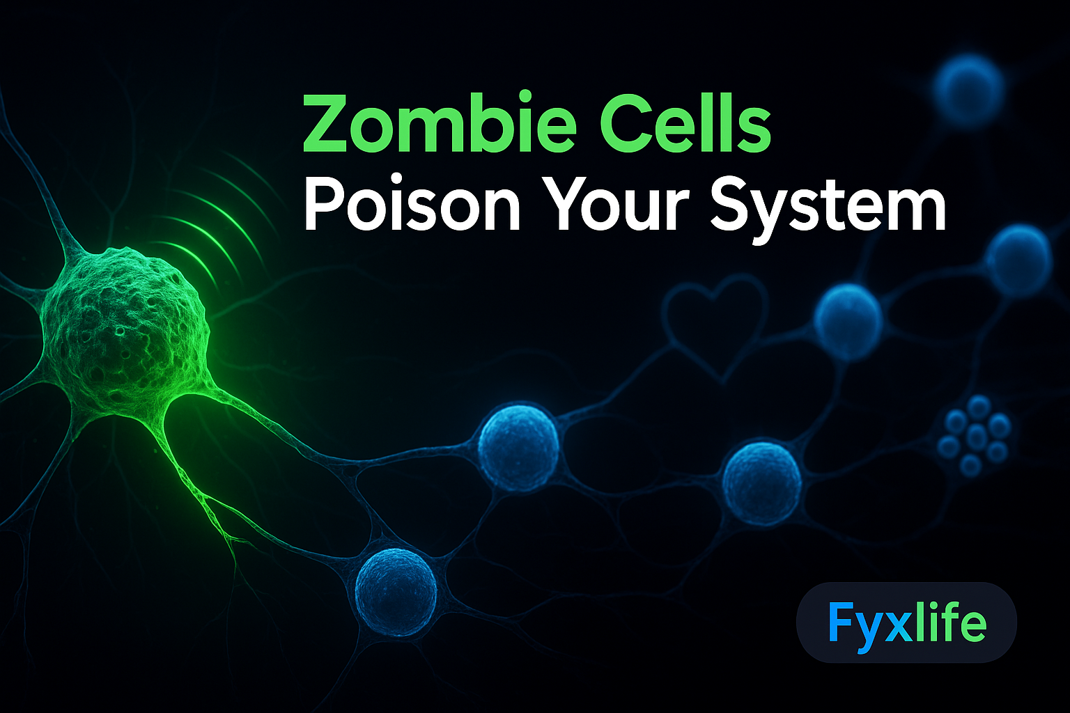 Zombie Cells Cascade: How Senescence Ages You Faster