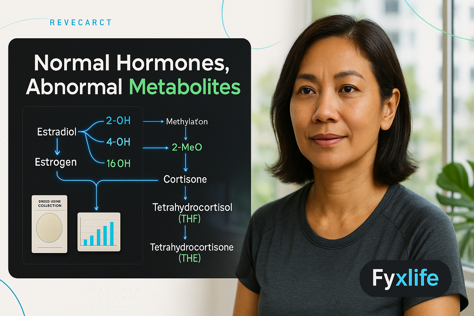 DUTCH Test for Hormones: What It Measures & Finds